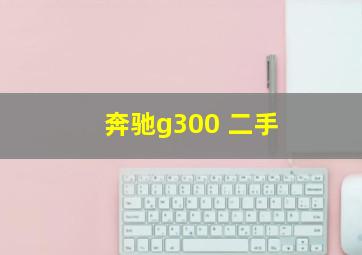 奔驰g300 二手